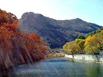 實(shí)時(shí)互動(dòng)云計算與黑龍江大豆行情，市場(chǎng)風(fēng)云盡在掌握，云游大豆市場(chǎng)展現力量與驕傲！