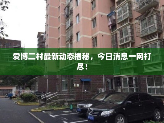 愛(ài)博二村最新動(dòng)態(tài)揭秘，今日消息一網(wǎng)打盡！